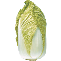 Photo of Chinese Wombok Cabbage Whole