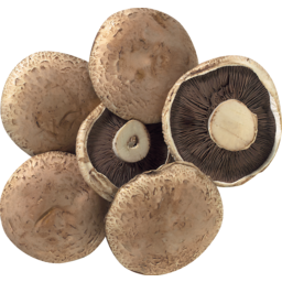 Photo of Swiss Mushrooms