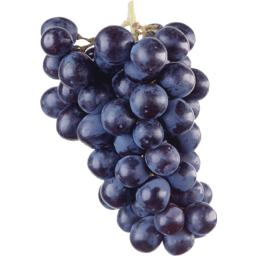 Photo of Black Grapes Seedless