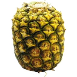 Photo of Pineapple Topless Whole