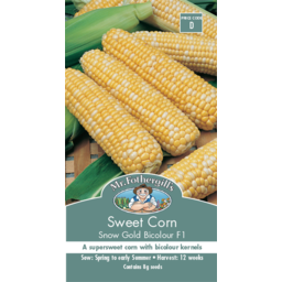 Photo of Fothergills Seed Sweet Corn Snow Gold