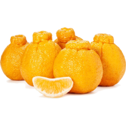 Photo of Sumo Mandarins