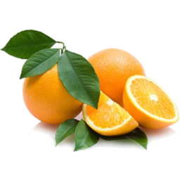 Photo of Navel Oranges - Large