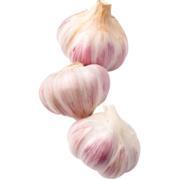 Photo of Garlic
