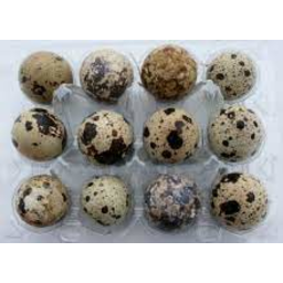 Photo of Quail Eggs Doz