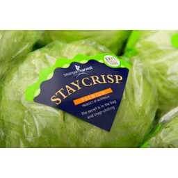 Photo of Lettuce Stay Crisp