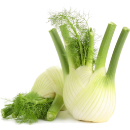 Photo of Fennel Each