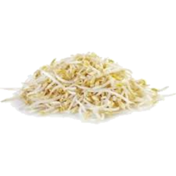 Photo of Bean Sprouts 125g