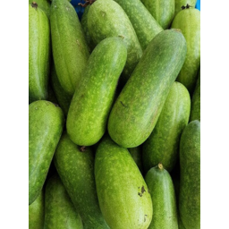 Photo of Hairy Melon