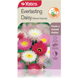 Photo of Yates Everlasting Daisy Packet