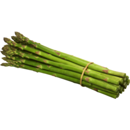 Photo of Asparagus Green