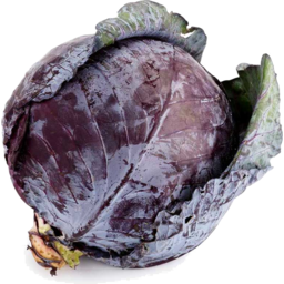 Photo of Cabbage - Red