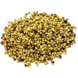 Photo of Red Clover Seed / Kg