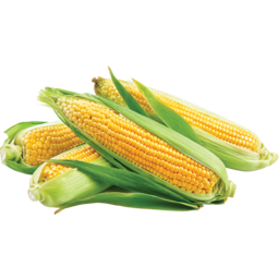 Photo of Corn Sweet 