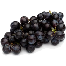 Photo of Grapes - Black Muscatelle