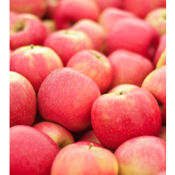 Photo of Apples Pink Lady Org
