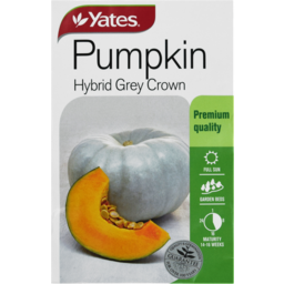 Photo of Yates Seeds Pumpkin Code C