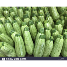 Photo of Zucchini Lebanese Tray Per Kg