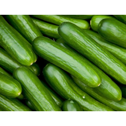 Photo of Cucumbers x
