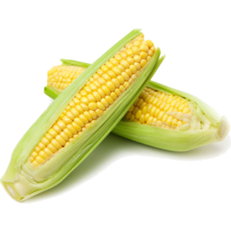 Photo of Corn Sweet