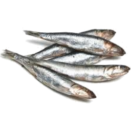Photo of Anchovies