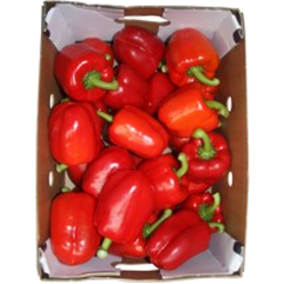 Photo of Box Capsicums Red Seconds