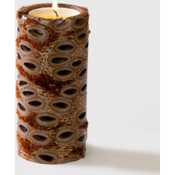 Photo of BANKSIA GIFTS Banksia Medium Pillar Candle Pod