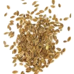 Photo of Dill Seed - 20g - Southern Light Herbs