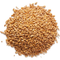 Photo of CITY ORGANICS Biodynamic Sprouting Wheat 350g