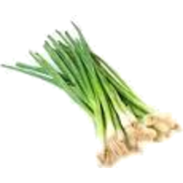 Photo of Onion Spring Bunch Ea