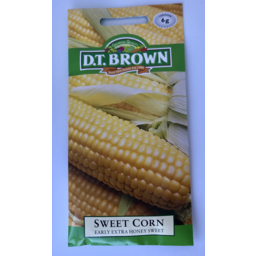 Photo of DT BROWN SWEET CORN EARLY EXTRA SWEET SEEDS