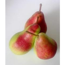Photo of Pears Belle De Jumet Kg