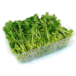 Photo of Sprouts Snowpea 160g