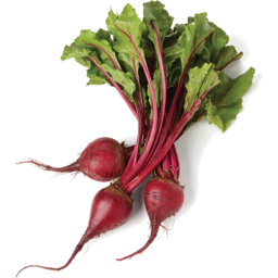 Photo of Organic Beetroot Bunched