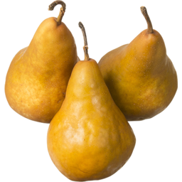 Photo of Pears Beurre De Jumet Kg
