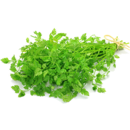 Photo of Herb Chervil Pack