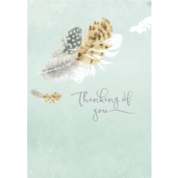 Photo of Henderson Greetings Card Thinking of You Feathers