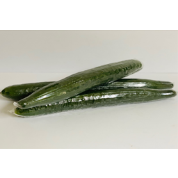 Photo of Cucumber Continental