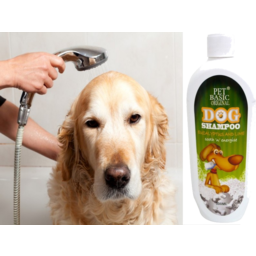 Photo of Dog Shampoo Sas