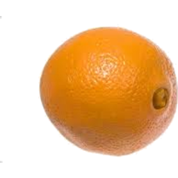 Photo of Navel Orange p/kg
