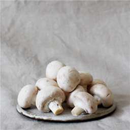 Photo of Mushroom White Cup Punnet