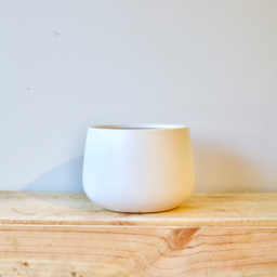 Photo of Ceramic Bowl White