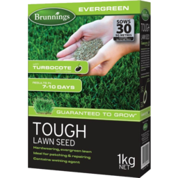 Photo of Brunnings Tough Lawn Seed