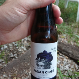 Photo of Pagan Cider Blueberry Apple 330ml
