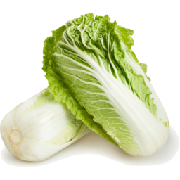 Photo of  	Wombok Chinese Cabbage 2 pack