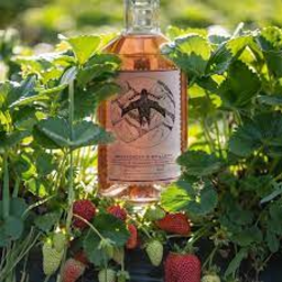 Photo of Swiftcrest Strawberry Summer Gin