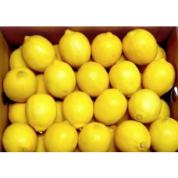 Photo of Lemon Large / Box