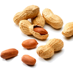 Photo of Peanuts In Shell