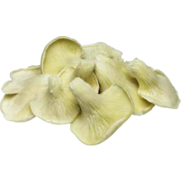 Photo of Mushrooms Asian Mix Punnet