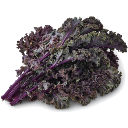 Photo of Kale - Curly Purple